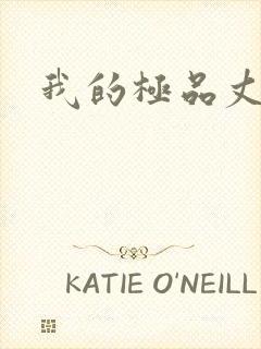 我的极品丈母娘