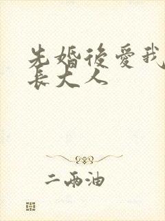 先婚后爱我的市长大人