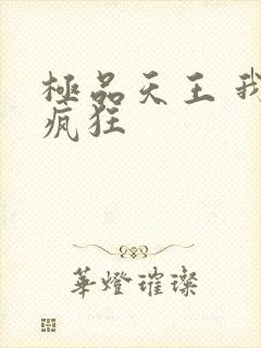 极品天王 我本疯狂