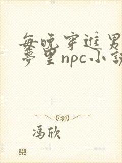 每晚穿进男神的梦里npc小说