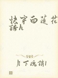 快穿白莲花的引诱h