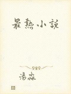 最热小说