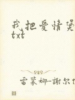 我把爱情煲成汤txt