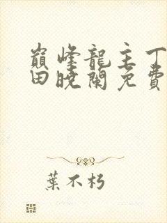 巅峰龙主丁长顺田晓兰免费阅读