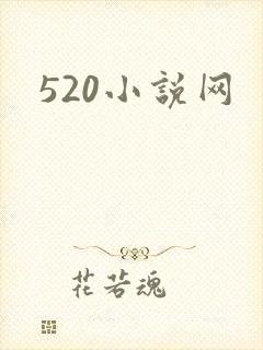 520小说网