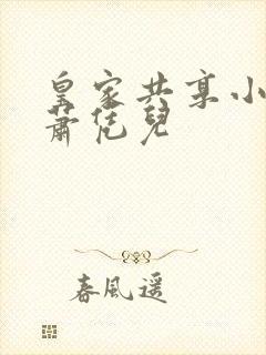 皇家共享小公主萧凭儿