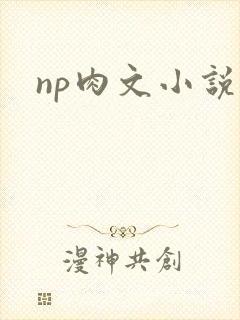 np肉文小说