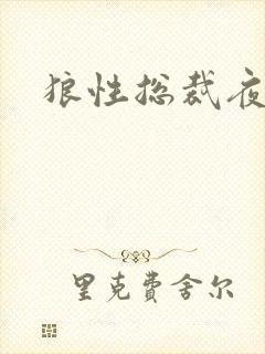 狼性总裁夜欢宠