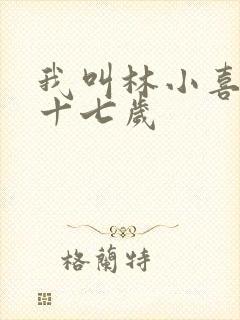 我叫林小喜今年十七岁