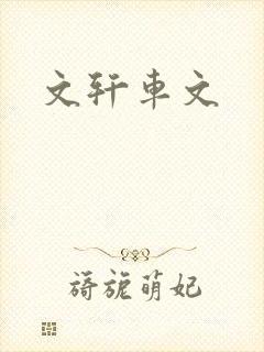 文轩车文