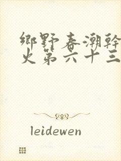 乡野春潮干柴烈火第六十三章