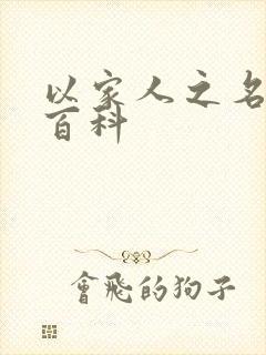 以家人之名百度百科