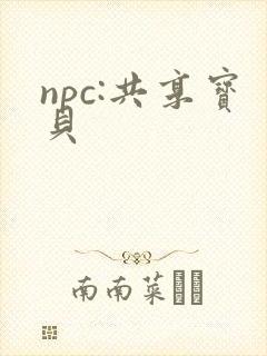 npc:共享宝贝