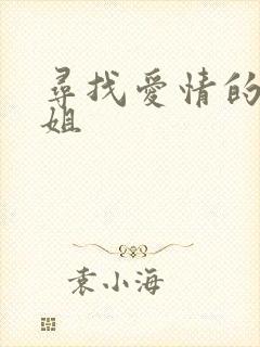 寻找爱情的邹小姐