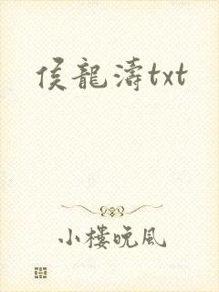 侯龙涛txt