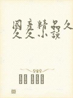 国产精品久久久久久小说