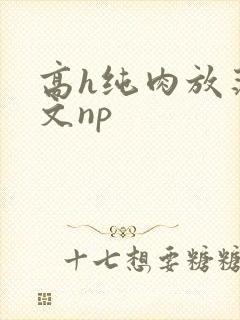 高h纯肉放荡h文np