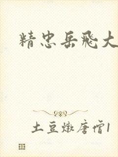 精忠岳飞大结局