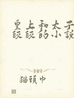 皇上和太子妃沈皎皎的小说免费