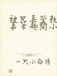 被兄长管教的弟弟笔趣阁小说