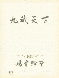 九藏天下