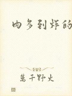 肉多到炸的古代