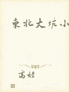 东北大坑小说