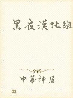 黑夜汉化组