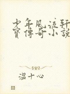 少年风流轩辕大宝传奇小说