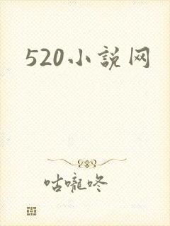 520小说网