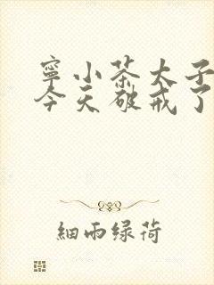 宁小茶太子殿下今天破戒了吗免费阅读