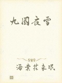 九国夜雪