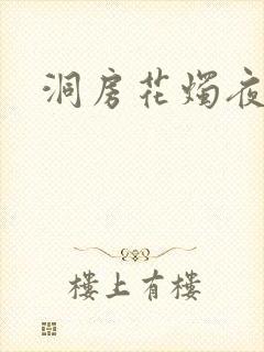 洞房花烛夜小说
