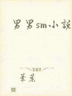 男男sm小说