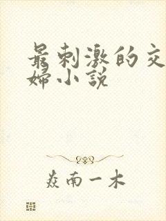 最刺激的交换夫妇小说