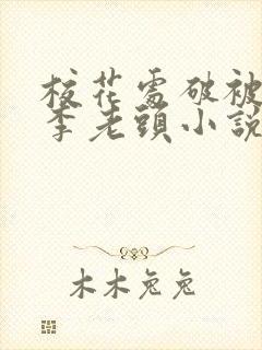 校花处破被灌满李老头小说