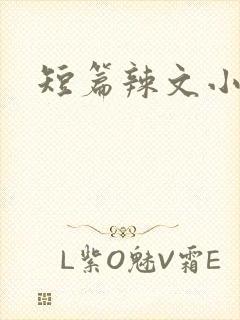 短篇辣文小说