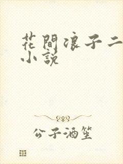 花间浪子二十部小说