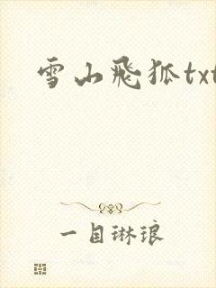 雪山飞狐txt