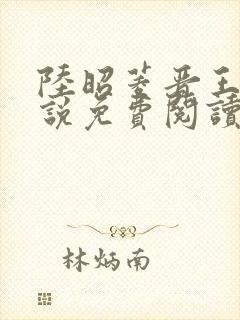 陆昭菱晋王的小说免费阅读