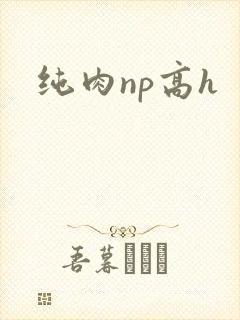 纯肉np高h