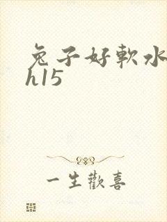 兔子好软水好多h15