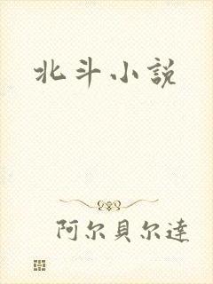 北斗小说