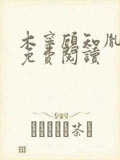 木宁顾知胤小说免费阅读