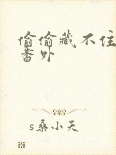 偷偷藏不住新婚番外