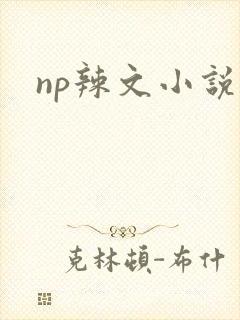 np辣文小说