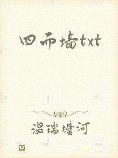 四面墙txt