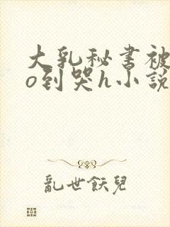 大乳秘书被cao到哭h小说