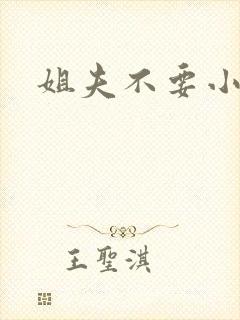 姐夫不要小说