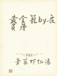 黄金笼by夜很贫瘠
